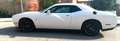 Dodge Challenger Challenger R/T Scat Pack 6.4 HEMI V8 R/T Scat Pack Blanco - thumbnail 5