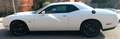 Dodge Challenger Challenger R/T Scat Pack 6.4 HEMI V8 R/T Scat Pack Blanco - thumbnail 17