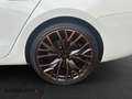 CUPRA Leon 2.0 Sportstourer *ABT*Navi*LED*Kamera* Weiß - thumbnail 14
