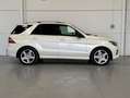 Mercedes-Benz ML 350 BlueTEC 4MATIC Blanco - thumbnail 6