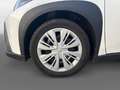 Toyota Sonstige Hybrid Pure Weiß - thumbnail 9
