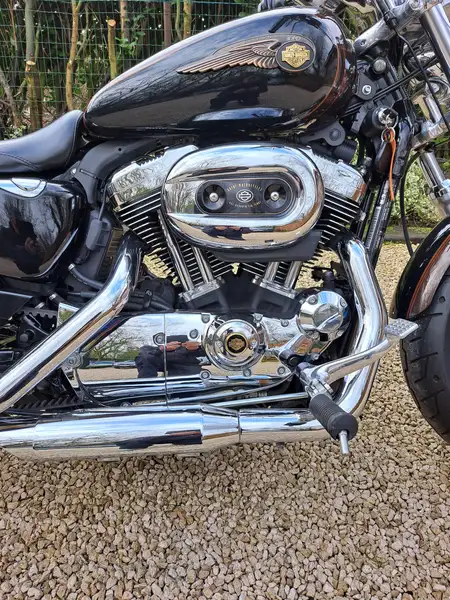 Harley-Davidson SPORTSTER 1200 - foto 2