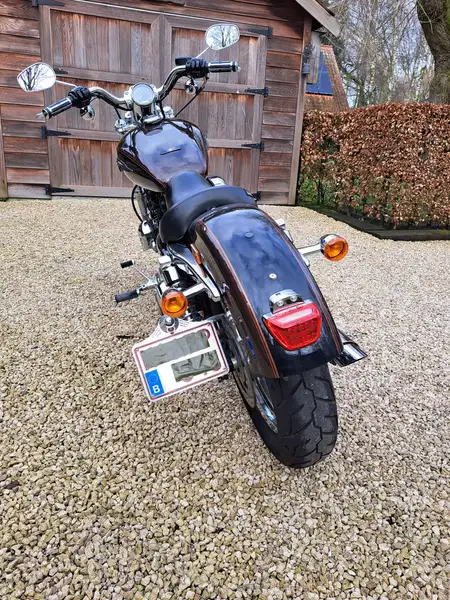 Harley-Davidson SPORTSTER 1200 - foto 5