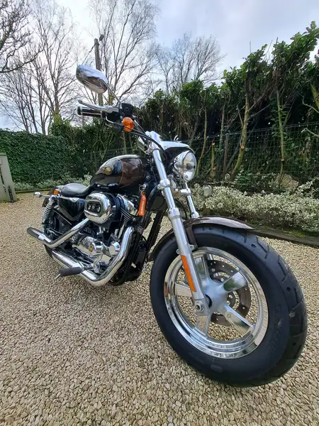 Harley-Davidson SPORTSTER 1200 - foto 3