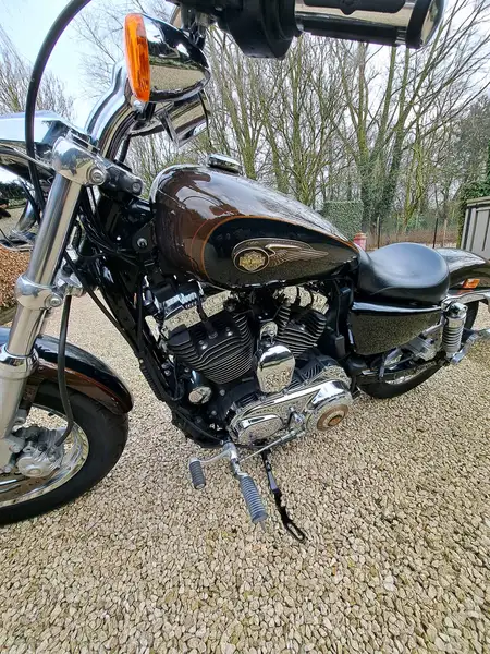 Harley-Davidson SPORTSTER 1200 - foto 4