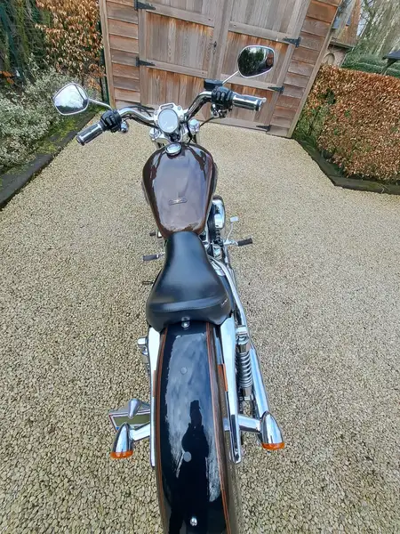 Harley-Davidson SPORTSTER 1200 - foto 7