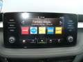 Skoda Fabia Fabia IV 1.0 TSI Style inkl. AHK,Tieferl. ,8-fach - thumbnail 14