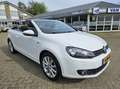 Volkswagen Golf Cabriolet 1.4 TSI | Lounge | Navi / Cruise / PDC Wit - thumbnail 9