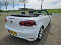 Volkswagen Golf Cabriolet 1.4 TSI | Lounge | Navi / Cruise / PDC Wit - thumbnail 12