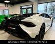Lamborghini Huracán HURACAN TECNICA CARBON EXT&INT SENSONUM FULLOPT! Weiß - thumbnail 5