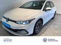 Volkswagen Golf VIII 1.5 TSI Life NAVI KLIMA PDC LED AHK PANO Blanco - thumbnail 1