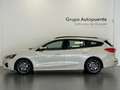 Ford Focus ST LINE Beige - thumbnail 5