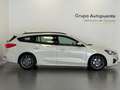 Ford Focus ST LINE Beige - thumbnail 2