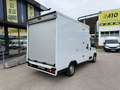 Fiat Ducato FIAT Pequeño 130cv Manual de 4 Puertas Blanco - thumbnail 6