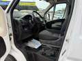 Fiat Ducato FIAT Pequeño 130cv Manual de 4 Puertas Blanco - thumbnail 10