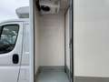 Fiat Ducato FIAT Pequeño 130cv Manual de 4 Puertas Blanco - thumbnail 9