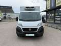 Fiat Ducato FIAT Pequeño 130cv Manual de 4 Puertas Blanco - thumbnail 2