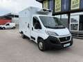 Fiat Ducato FIAT Pequeño 130cv Manual de 4 Puertas Blanco - thumbnail 3