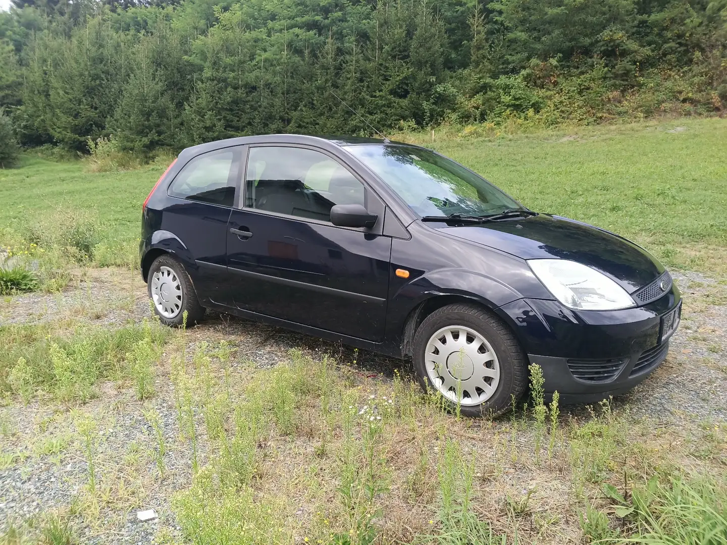 Ford Fiesta Ambiente+ 1,3 8V - 1