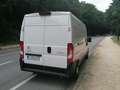 Citroen Jumper L3H2 BlueHDI 17900€+tva/btw/vat Wit - thumbnail 5