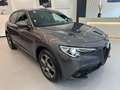Alfa Romeo Stelvio 2.2 Turbodiesel 190 CV AT8 Q4 Grigio - thumbnail 5