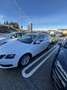 Skoda Octavia Combi 1,6 TDI Ambition DSG - thumbnail 2
