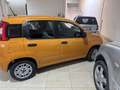 Fiat Panda 1.2 Lounge s&s 69cv my19 - thumbnail 6