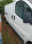 Nissan Primastar Kombi L1H1 1,9 TD 2,7t Motor Weiß - thumbnail 3