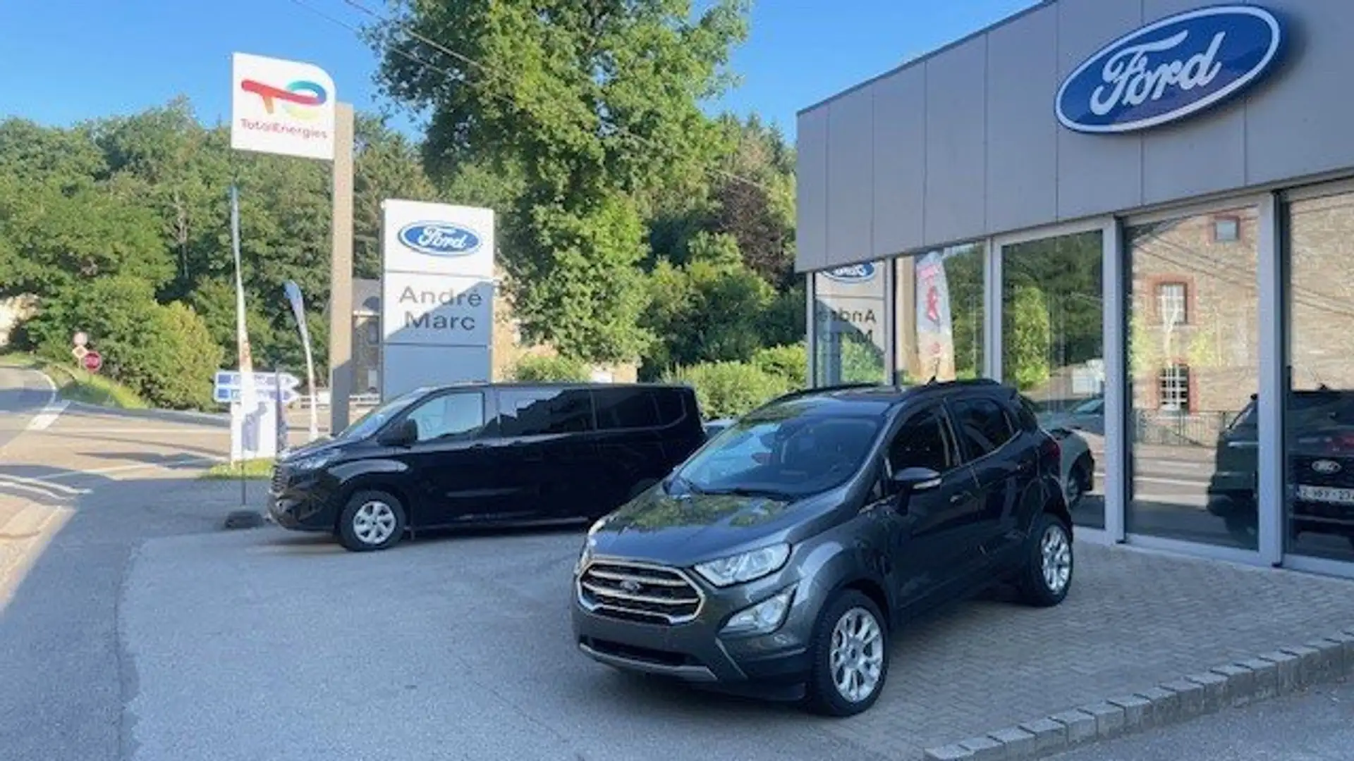 Ford EcoSport Ecosport 1.0 EcoBoost FWD Titanium (EU6d) Grijs - 1