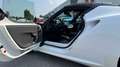 Alfa Romeo 4C Spider 1750 tbi 240cv tct Білий - thumbnail 9