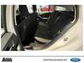Ford Focus Turnier 1.0 EcoBoost Hybrid TITANIUM PANORAMADACH Weiß - thumbnail 9