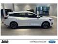 Ford Focus Turnier 1.0 EcoBoost Hybrid TITANIUM PANORAMADACH Weiß - thumbnail 4