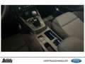 Ford Focus Turnier 1.0 EcoBoost Hybrid TITANIUM PANORAMADACH Weiß - thumbnail 14