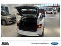 Ford Focus Turnier 1.0 EcoBoost Hybrid TITANIUM PANORAMADACH Weiß - thumbnail 7