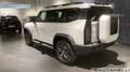 ICH-X K3 2.0 Benzina DCT 4WD GPL - thumbnail 2
