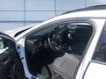 Ford Focus 1.0 Eco Boost KLIMA LED NAVI ALU Weiß - thumbnail 8