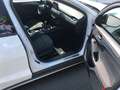 Ford Focus 1.0 Eco Boost KLIMA LED NAVI ALU Weiß - thumbnail 10