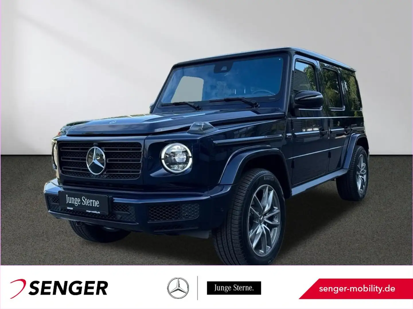 Mercedes-Benz G 500 Distronic Multibeam Schiebedach AHK 360°-K Bleu - 1
