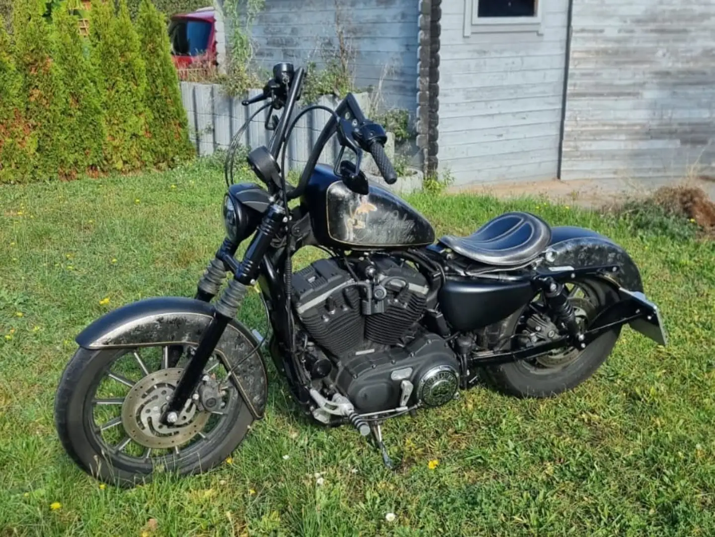 Harley-Davidson Iron 883 - 2