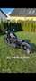 Harley-Davidson Iron 883 - thumbnail 12
