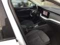 Skoda Octavia Combi Style 2.0TDI *PDC*AHK*NAVI*TRAVELL* Bianco - thumbnail 8