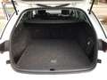 Skoda Octavia Combi Style 2.0TDI *PDC*AHK*NAVI*TRAVELL* Bianco - thumbnail 15