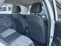 Kia Stonic 1.0 T-GDI DYNAMICLINE I ACHTERUITRIJCAMERA I CRUIS Blanco - thumbnail 11