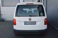 Volkswagen Caddy Kombi 2,0 TDI AHK / NETTO: 14.566 € Weiß - thumbnail 5