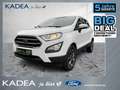 Ford EcoSport 1.0 Cool & Connect Sitzheizung+Klima Blanc - thumbnail 1