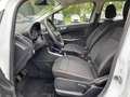 Ford EcoSport 1.0 Cool & Connect SHZ+CarPlay+KLIMA Wit - thumbnail 8