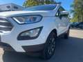 Ford EcoSport 1.0 Cool & Connect Sitzheizung+Klima Blanco - thumbnail 16