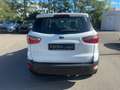Ford EcoSport 1.0 Cool & Connect Sitzheizung+Klima Blanco - thumbnail 22