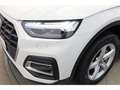 Audi Q5 50 TFSI e quattro Weiß - thumbnail 7