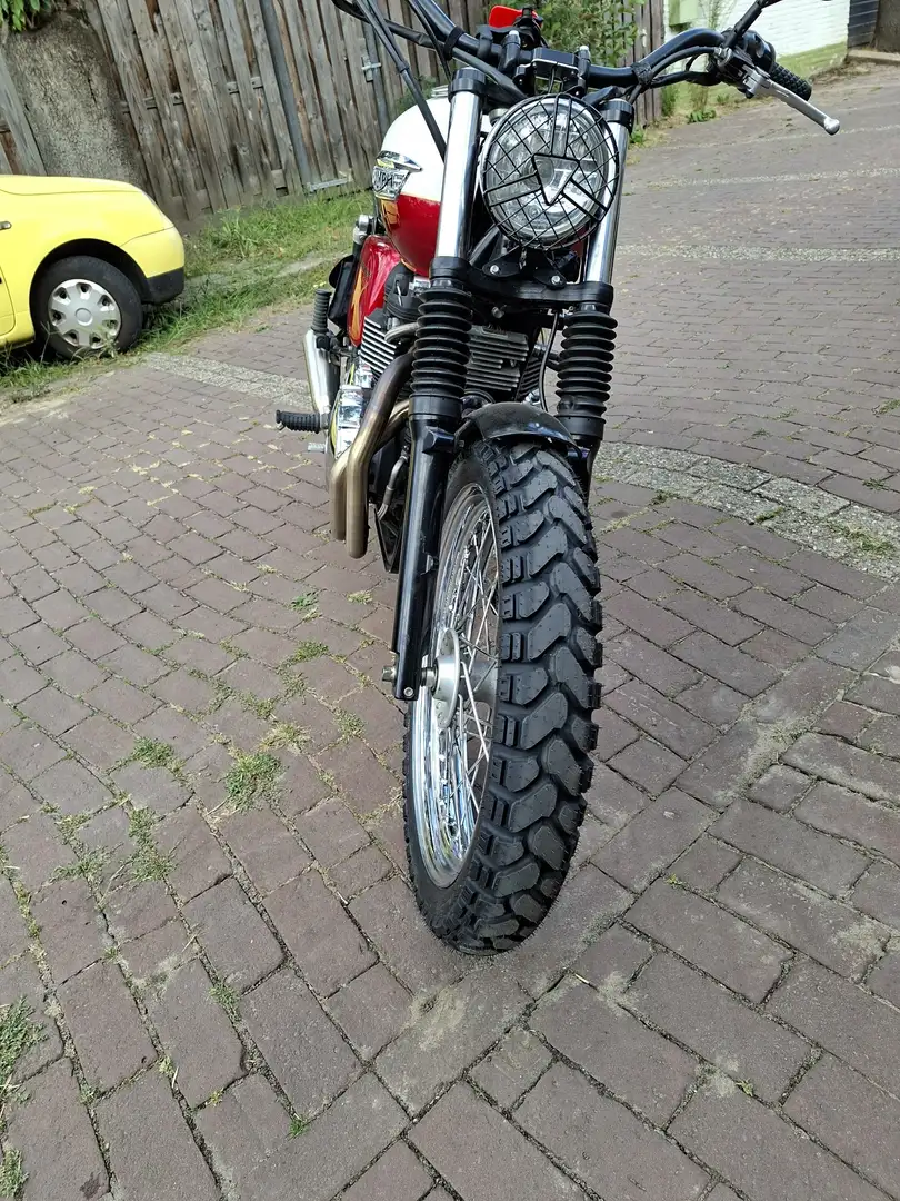 Triumph Bonneville T100 Wit - 2